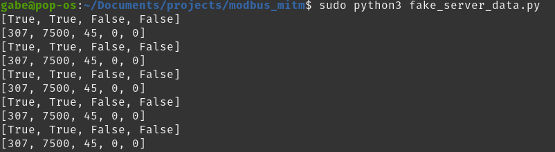 fake server running
